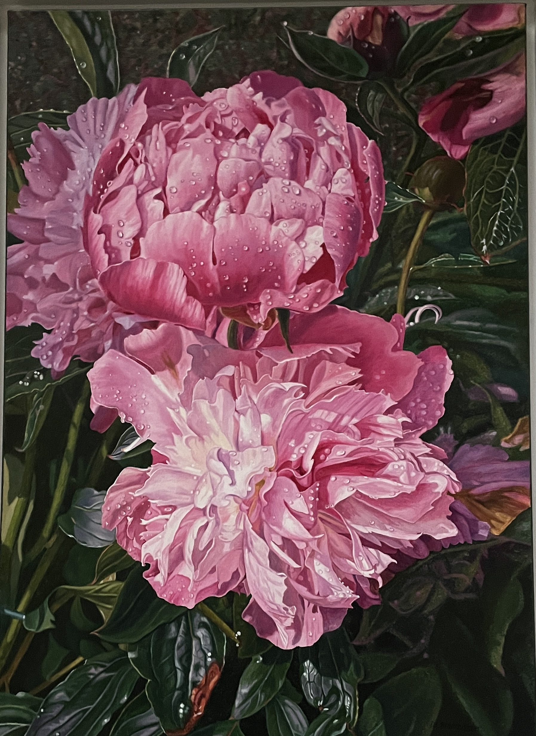 'Pink Peonies' 50 x 70 cm oil on canvas